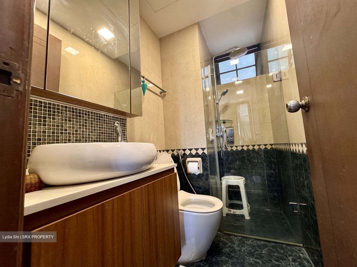 Sanctuary Green (D15), Condominium #574444071